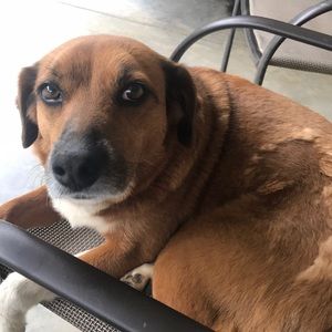 Meet your Posher, Donna